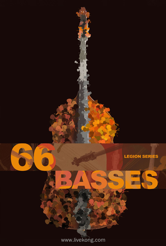 8dio Legion Series 66 Bass Ensemble kontakt 低音提琴合奏